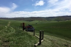 IMG_0605